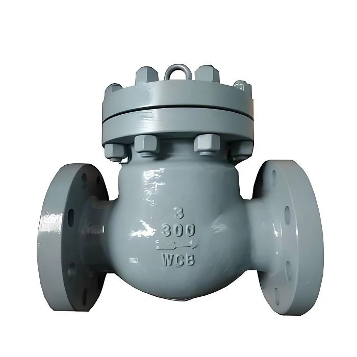 API 6D Piston Check Valve suppliers