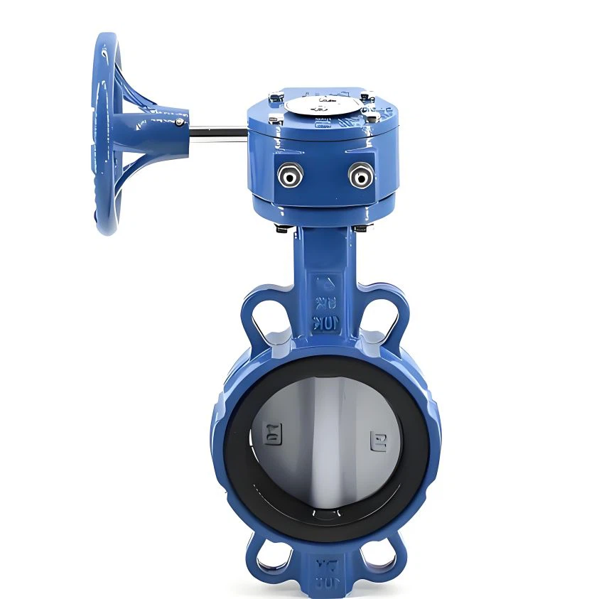 Concentric Butterfly Valve