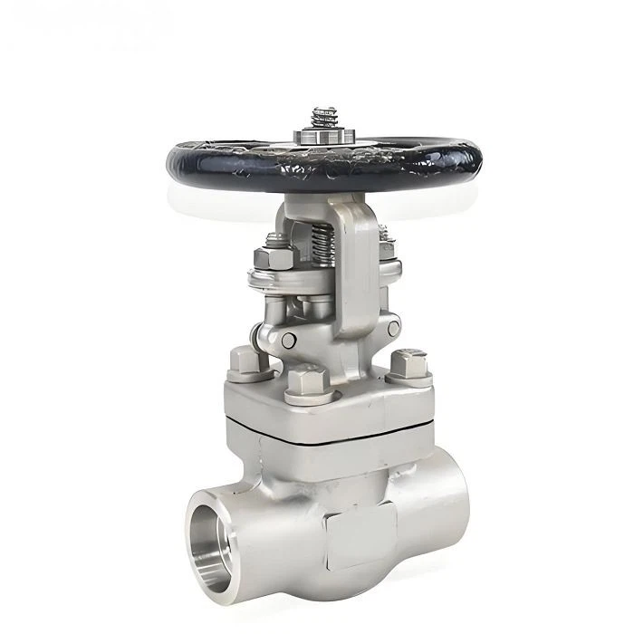 Cryogenic Globe Valve factory