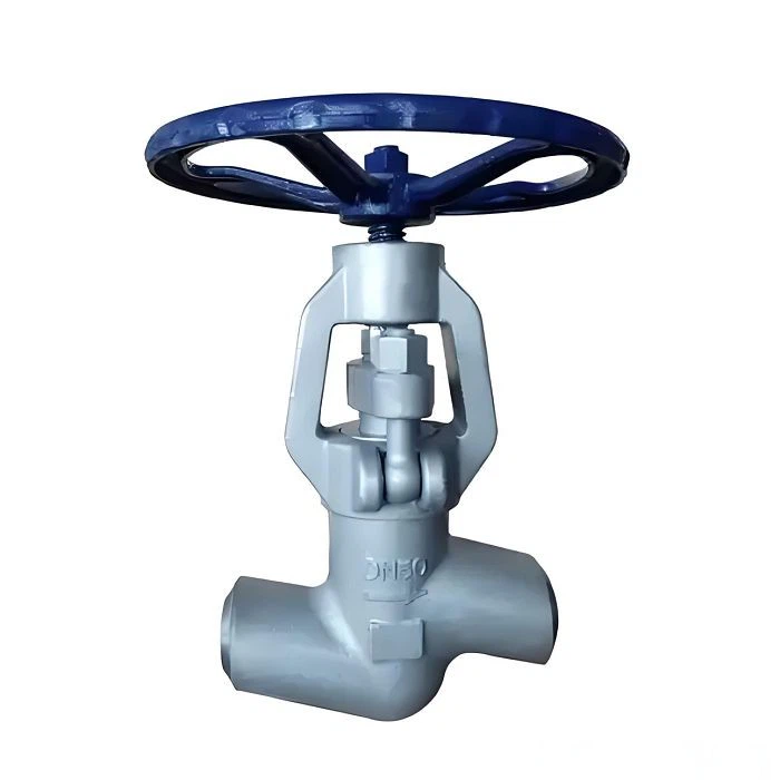Cryogenic Globe Valve high quality