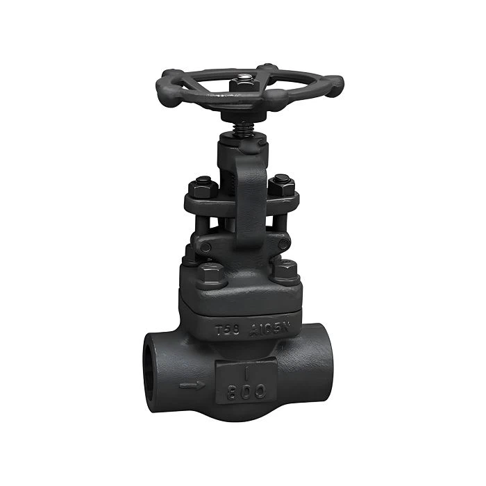 Forged Globe Valve