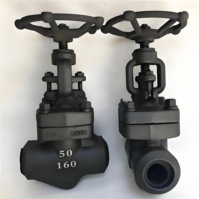 Forged Globe Valve suppliers