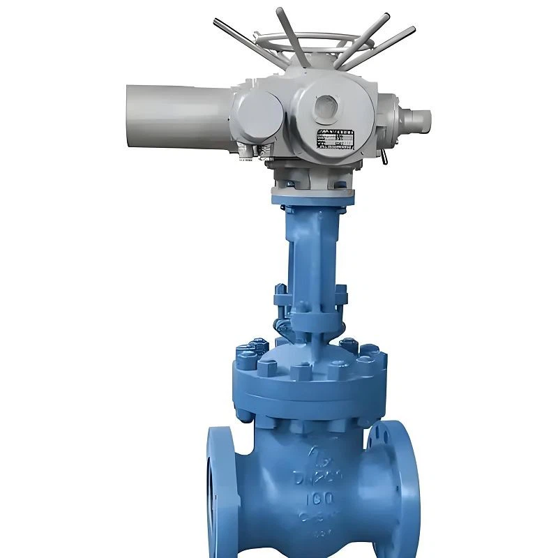 Slap Gate Valve factory
