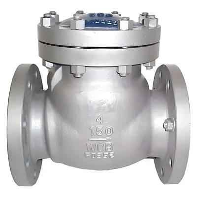 Cryogenic Check Valve