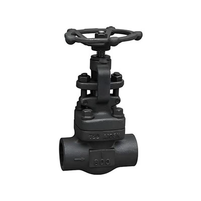 Cryogenic Globe Valve