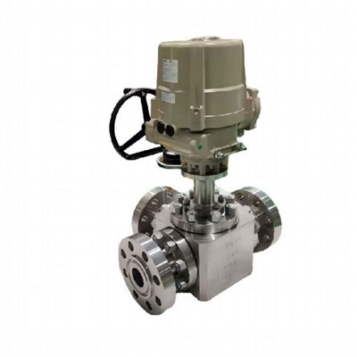 Rotary Electric Actuator